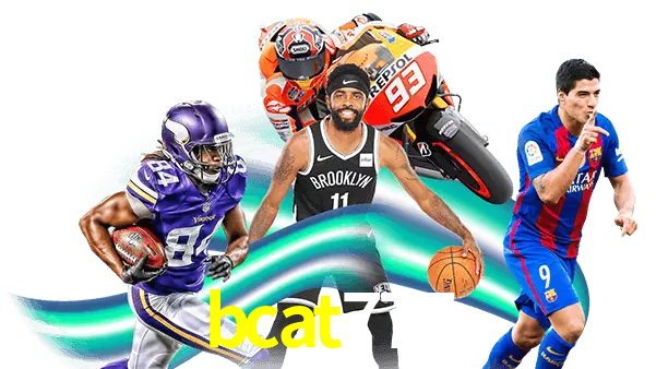 bcat777