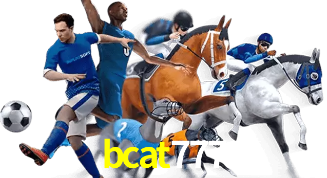 bcat777